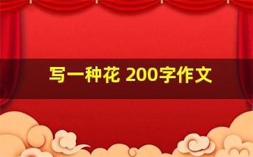 写一种花 200字作文